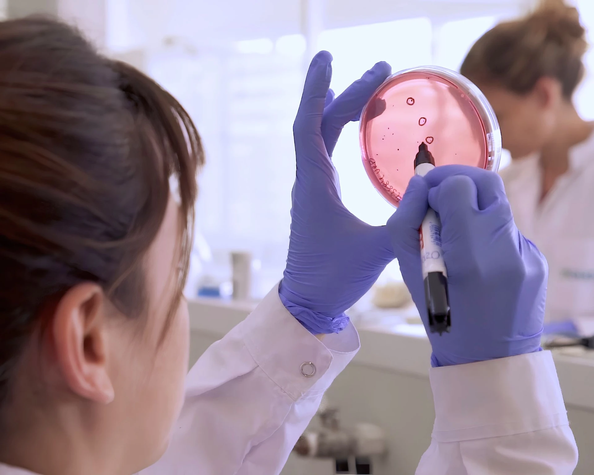 Microbiología