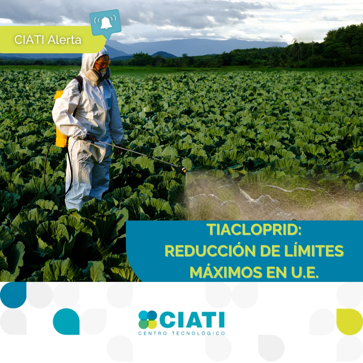 Reducción de los Límites Máximos de Residuos (LMRs) para Tiacloprid en la Unión Europea