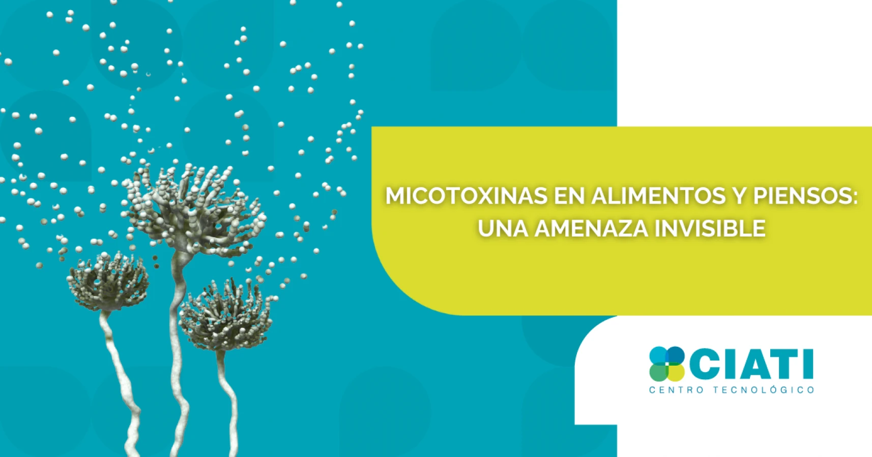 MICOTOXINAS EN ALIMENTOS Y PIENSOS: UNA AMENAZA INVISIBLE