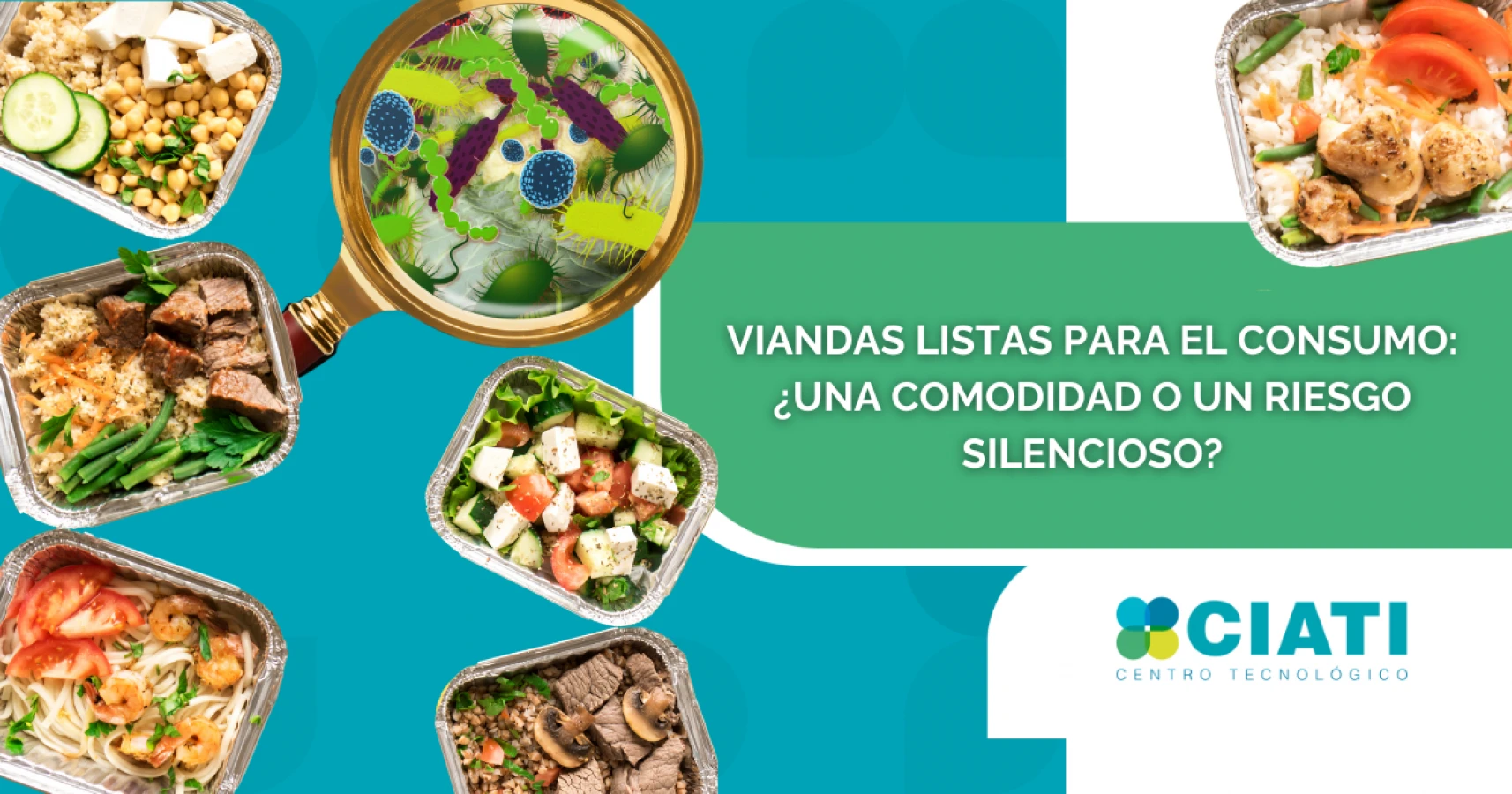Viandas laborales listas para el consumo: riesgos microbiológicos y control preventivo