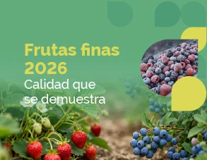 Frutas finas 2026: el valor ya no está solamente en la fruta, sino en lo que puede demostrar