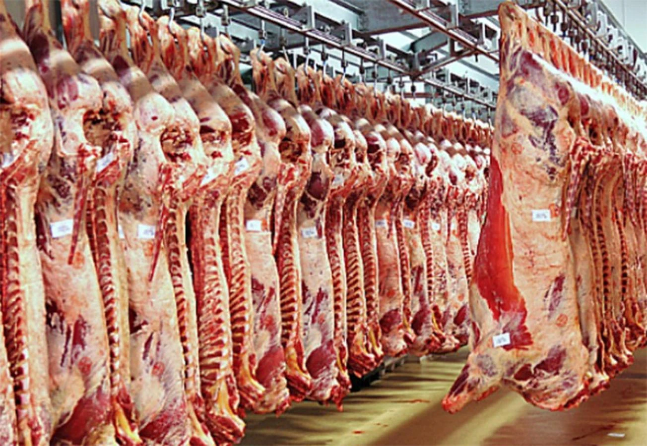 RUSIA, Tetraciclinas y beta Agonistas para exportación de carnes