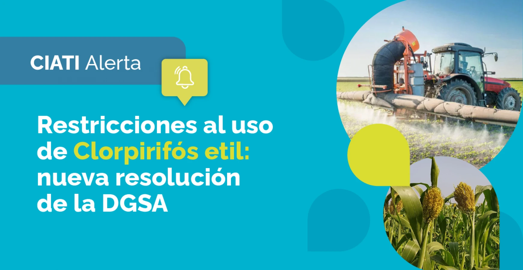 Restricciones al uso de Clorpirifós etil: proyecto de resolución de la DGSA