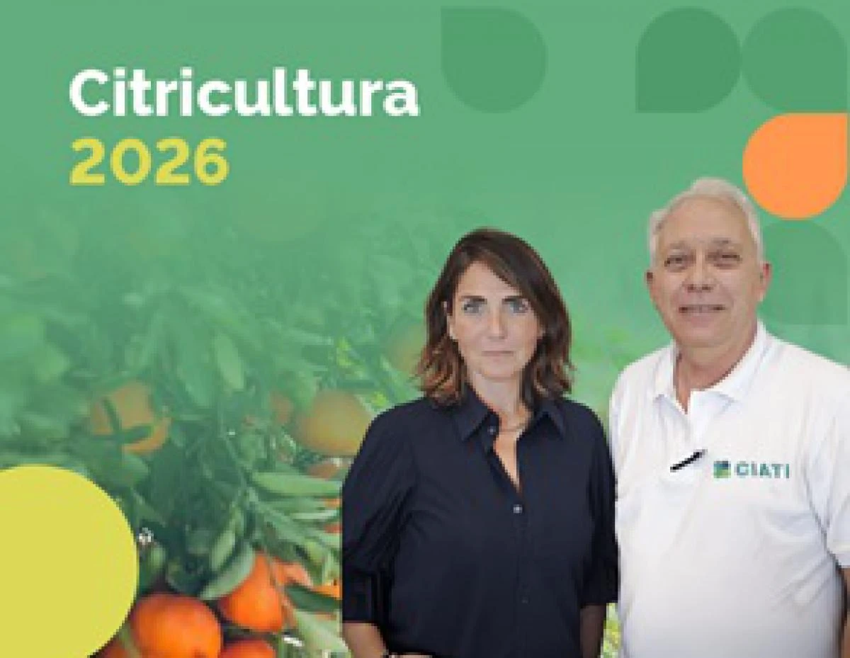 Citricultura 2026: Anticiparse para sostener la competitividad