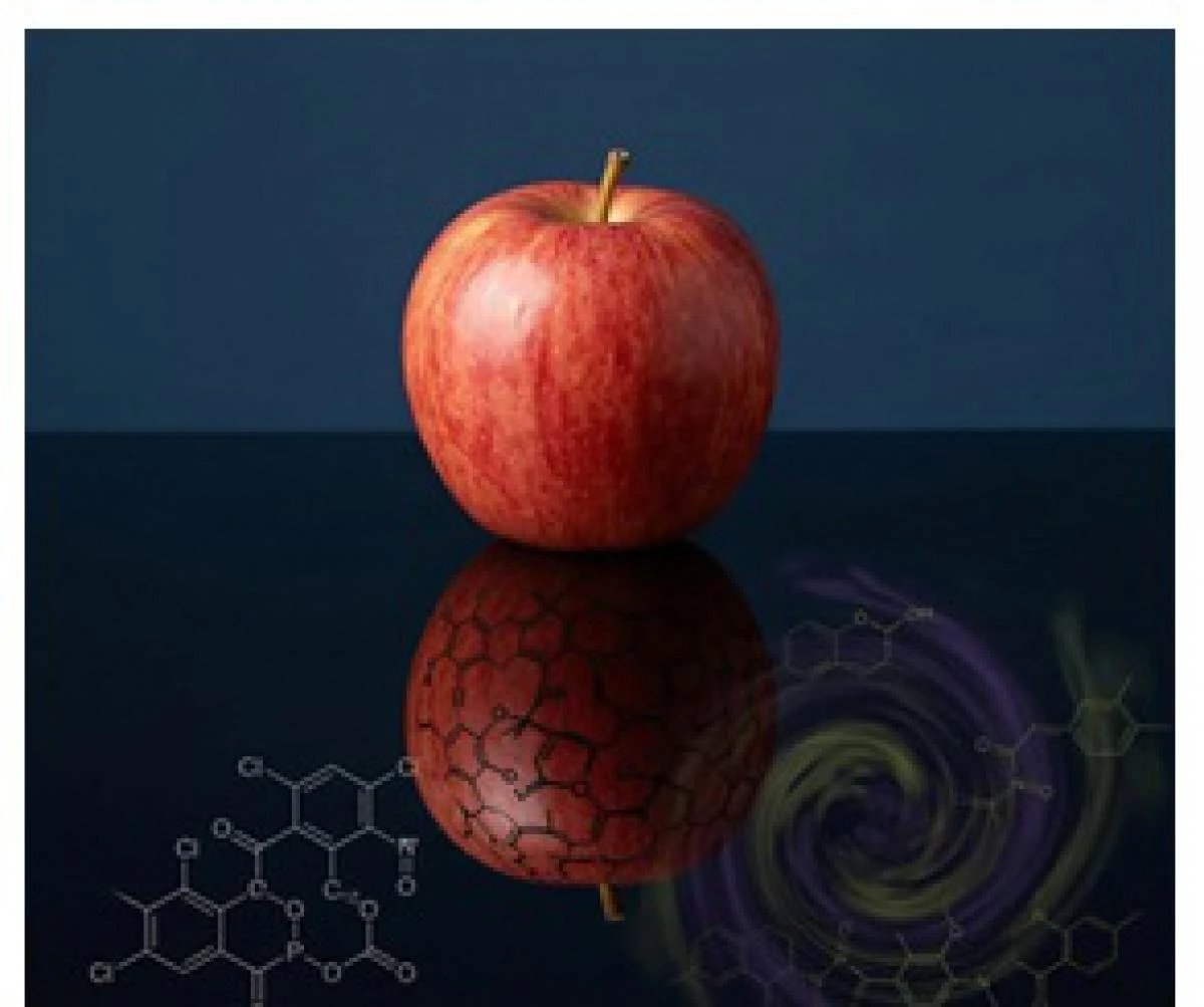 Metabolitos de plaguicidas: El desafío oculto en la exportación de agroalimentos